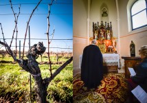 Burgenland, wine country