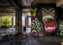 Inside Packhard plant ruins