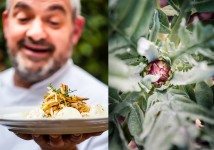 Castraure di Sant' Erasmo