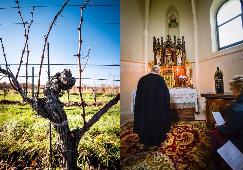 Burgenland, wine country