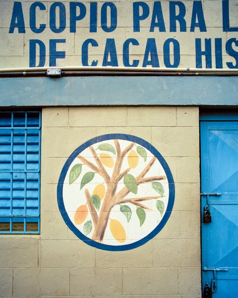 Cocoa cooperative