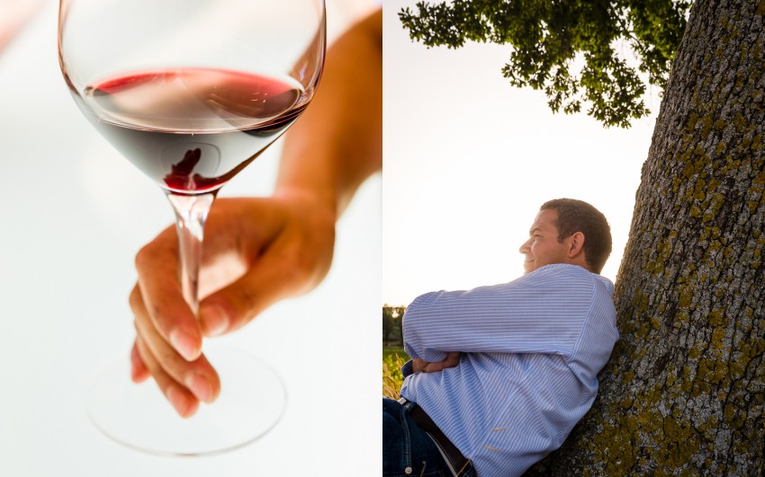 Sagrantino vine - Marco Caprai