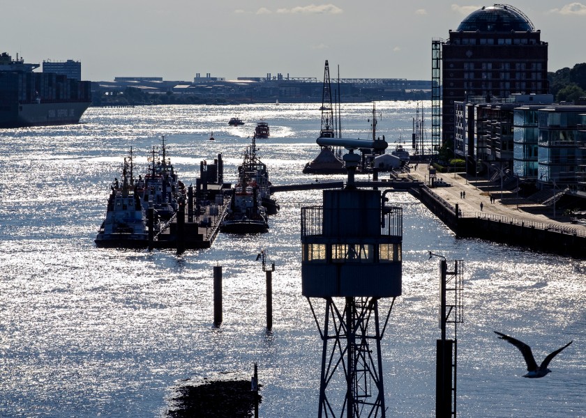 Hamburg harbour view from Dockland