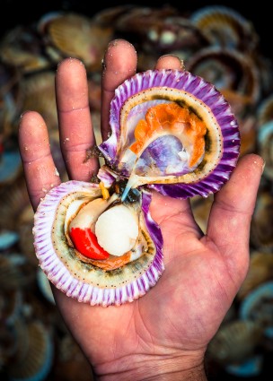 Pink Lady Food Photography Award